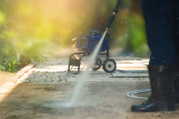 Animal Enclosure Cleaning in Sneads, FL